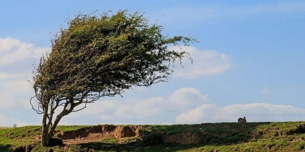 روند کاهشی دمای استان از شنبه شب