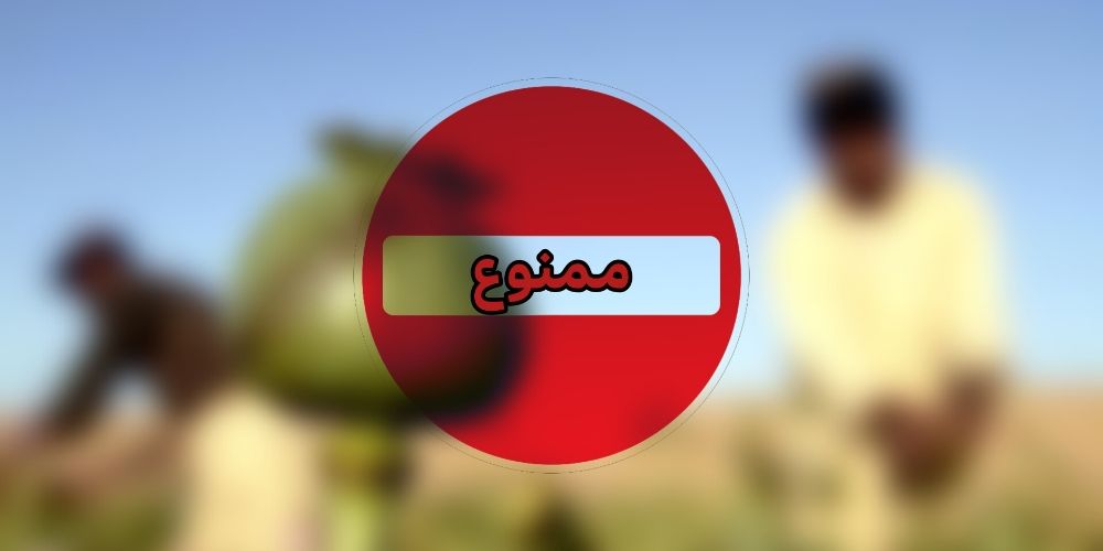کشت مواد مخدر در اراضی ملی استان قزوین ممنوع است