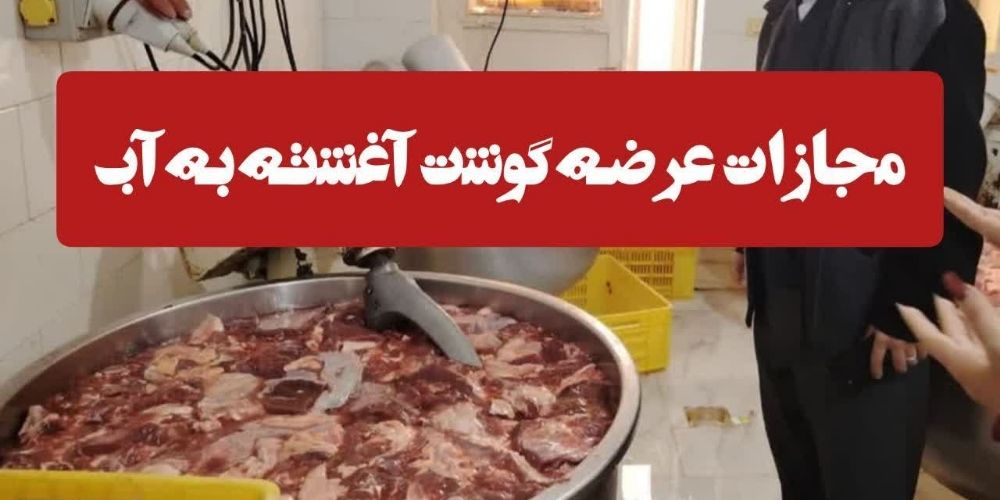 مجازات ۹۰ میلیارد ریالی شرکت متقلب در قزوین