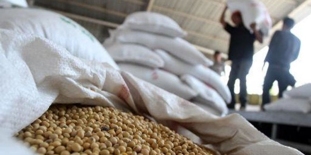 کشف 9 تن مکمل غذايی دام و طيور قاچاق در قزوین