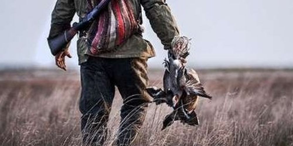 تشکیل 78 پرونده تخلف محیط زیستی در قزوین