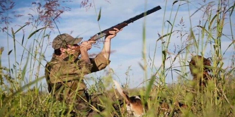 کشف سلاح غیرمجاز پیش از شکار در قزوین