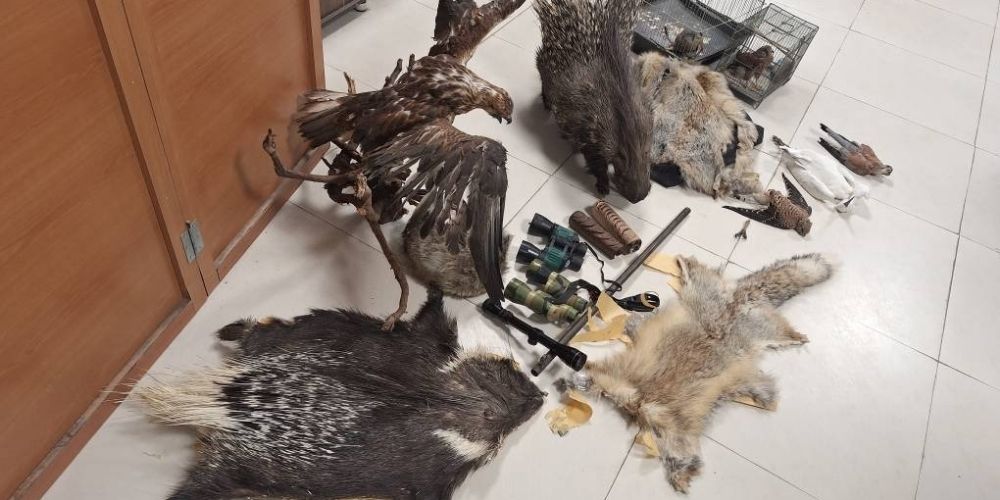 دستگیری باند شکار غیرمجاز در اقبالیه