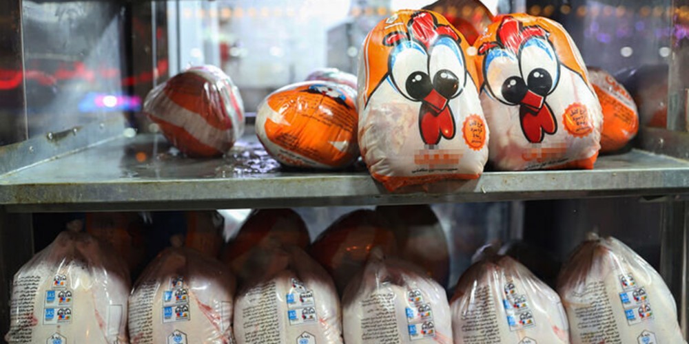 هزینه نهاده، قیمت تمام شده مرغ را افزایش داد